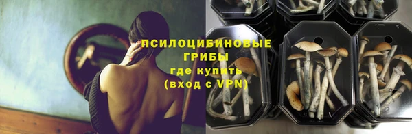 эйфоретик Баксан