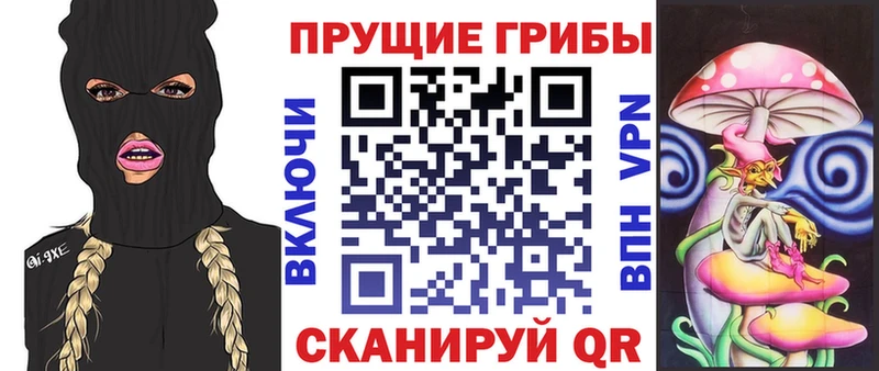 Галлюциногенные грибы Magic Shrooms  цена   Богородицк 